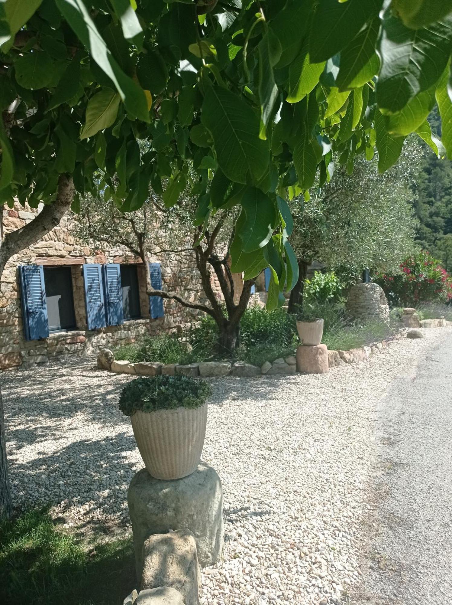 Holiday home Des Oliviers Aubres