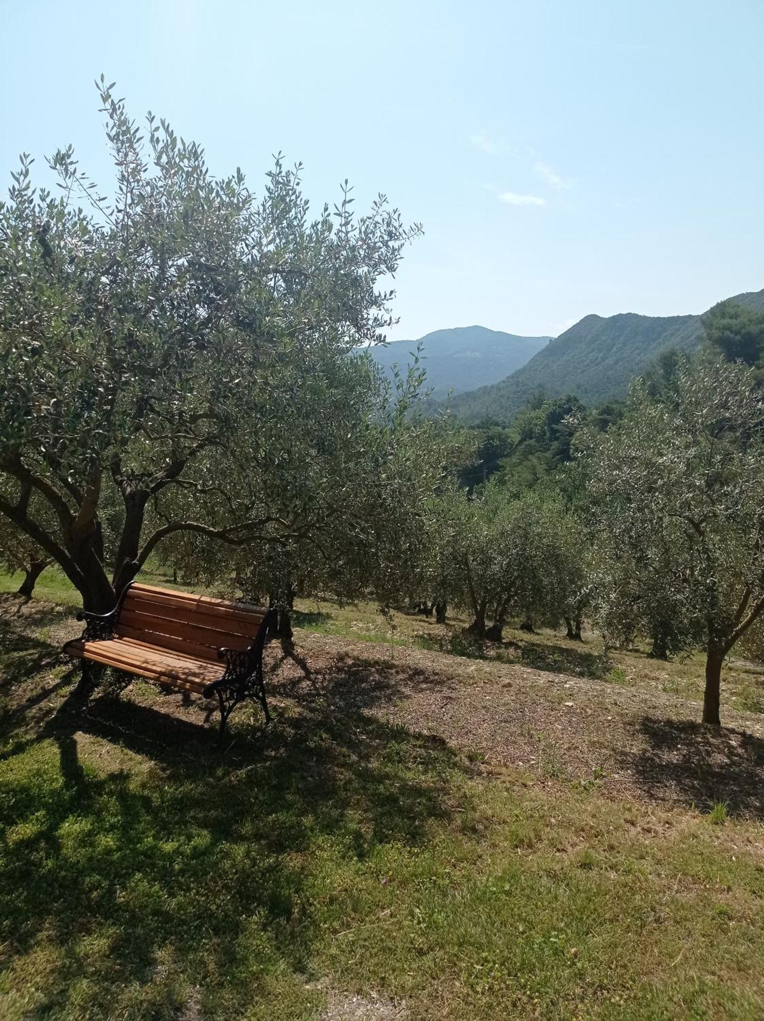 Des Oliviers Holiday home